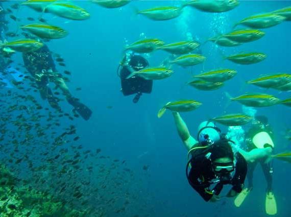 苏梅岛(Samui)苏梅岛位于泰国湾的苏梅岛是全国第三大岛,面积247平方公里,距大陆约80公里,周围有80个大小岛屿,但多无人居住。苏梅岛最早的居民是150年前从海南来此定居的中国人,世代以种椰子为生。至今,椰树业依然是岛上重要的经济来源之一,每个月要向曼谷运送约200万只椰子。苏梅岛也因此赢得了"椰林海岛"的美名。 涛岛(Ko Tao)是泰国东南面的小岛,因为外型类似一只乌龟,所以此岛又被称为是「龟岛」,涛岛面积不足21平方千米,从苏梅岛乘快艇到此约需 2 小时,若乘坐一般的轮船则就是 4 小时左