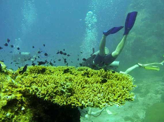 苏梅岛(Samui)苏梅岛位于泰国湾的苏梅岛是全国第三大岛,面积247平方公里,距大陆约80公里,周围有80个大小岛屿,但多无人居住。苏梅岛最早的居民是150年前从海南来此定居的中国人,世代以种椰子为生。至今,椰树业依然是岛上重要的经济来源之一,每个月要向曼谷运送约200万只椰子。苏梅岛也因此赢得了"椰林海岛"的美名。 涛岛(Ko Tao)是泰国东南面的小岛,因为外型类似一只乌龟,所以此岛又被称为是「龟岛」,涛岛面积不足21平方千米,从苏梅岛乘快艇到此约需 2 小时,若乘坐一般的轮船则就是 4 小时左