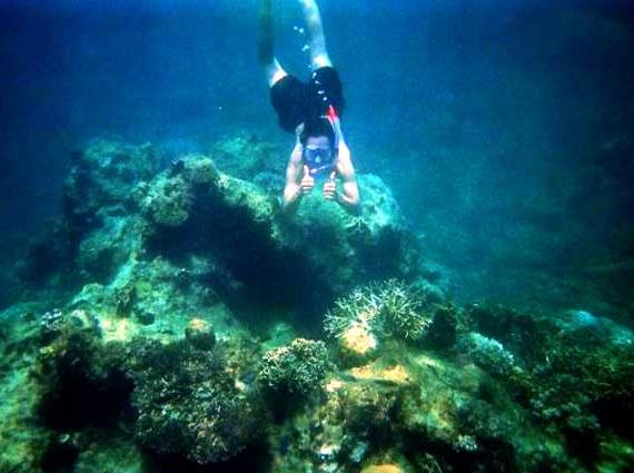 苏梅岛(Samui)苏梅岛位于泰国湾的苏梅岛是全国第三大岛,面积247平方公里,距大陆约80公里,周围有80个大小岛屿,但多无人居住。苏梅岛最早的居民是150年前从海南来此定居的中国人,世代以种椰子为生。至今,椰树业依然是岛上重要的经济来源之一,每个月要向曼谷运送约200万只椰子。苏梅岛也因此赢得了"椰林海岛"的美名。 涛岛(Ko Tao)是泰国东南面的小岛,因为外型类似一只乌龟,所以此岛又被称为是「龟岛」,涛岛面积不足21平方千米,从苏梅岛乘快艇到此约需 2 小时,若乘坐一般的轮船则就是 4 小时左