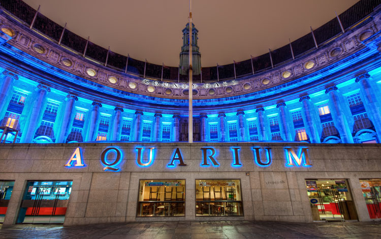 伦敦海洋生物水族馆门票(sea life london aquarium)