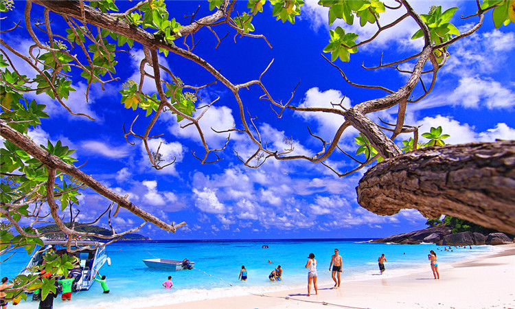 普吉岛斯米兰一日游(Sea Star快艇 \/ Fantastic