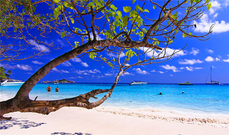 普吉岛斯米兰一日游(Sea Star快艇 \/ Fantastic