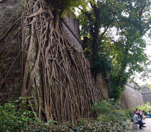 越秀公园门票多少钱 越秀公园开放时间