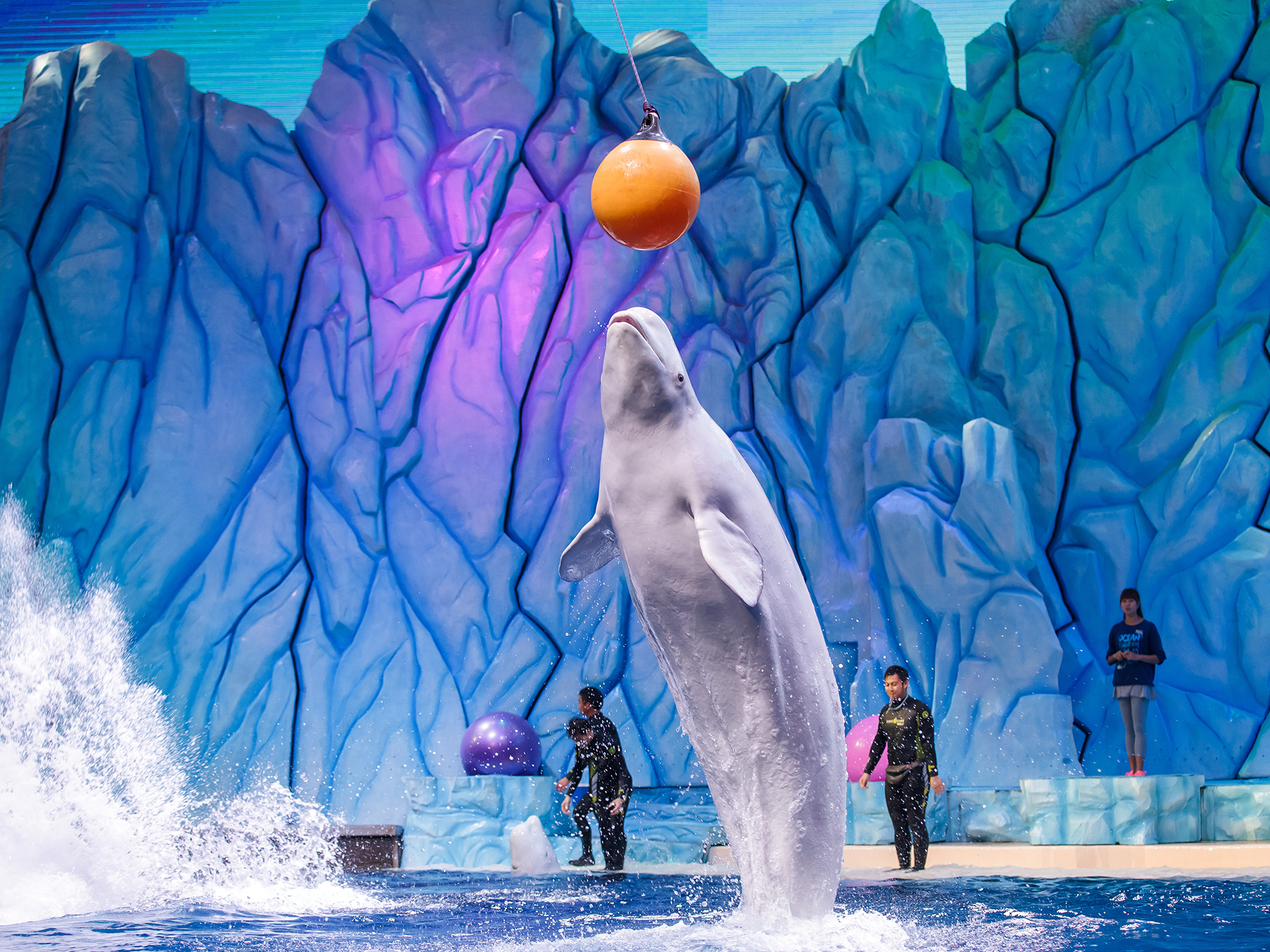 西安曲江海洋极地公园大型儿童舞台秀《哪吒》来袭-搜狐大视野-搜狐新闻