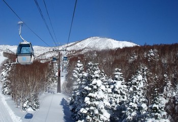长野志贺 粉雪畅滑