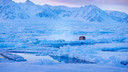 莫得号 北极四岛穿越极光带：斯瓦尔巴群岛+扬马延岛+格陵兰岛+冰岛20日