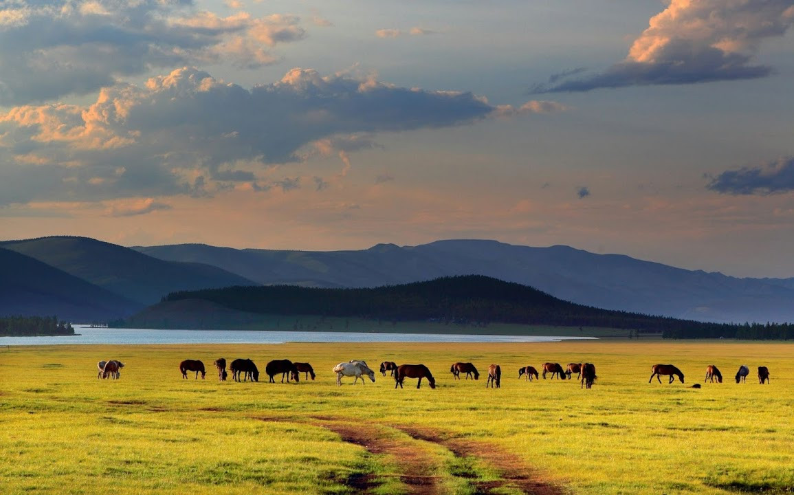 蒙古跟团游