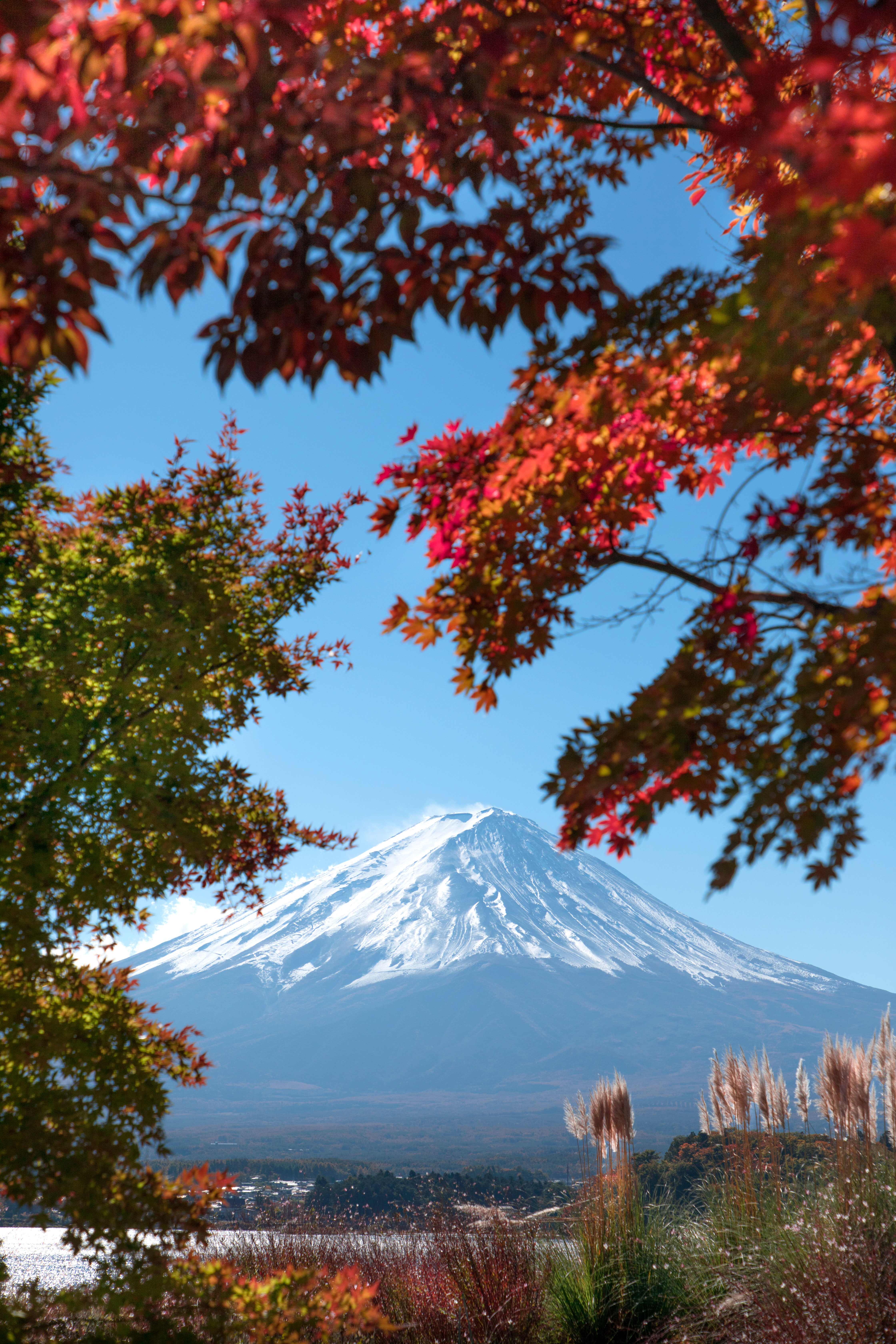 日本本州7日双自由假期之旅（日本大阪、京都、奈良、箱根（富士山周边地区）、东京）7日游