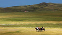 【私家團】【內蒙古】金秋草原—呼倫貝爾+阿爾山+滿洲里 騎馬體驗、做客牧民家庭、溫泉體驗、滑草體驗、DIY套娃制作、贈送航拍一次6日游