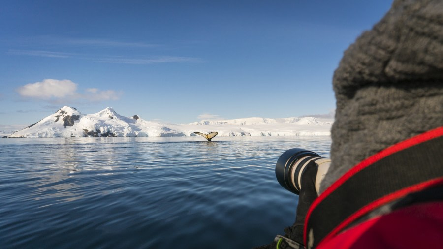 【遨游摄影】【南极光影 镜界探秘】专业级 摄影包船 南极半岛17日游