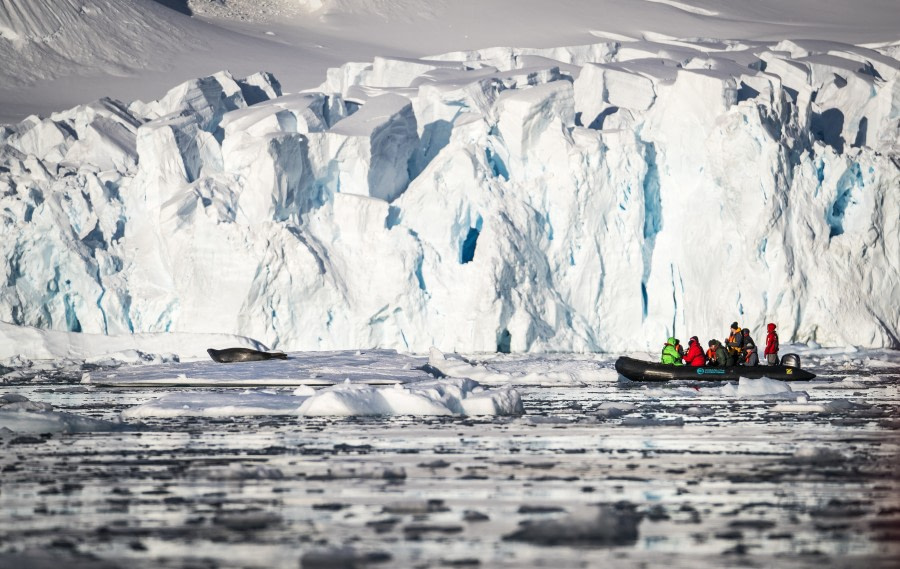【南极+阿根廷】海神号南极一地深度游18日 乌斯怀亚五星级酒店 南极半岛参考登陆岛屿