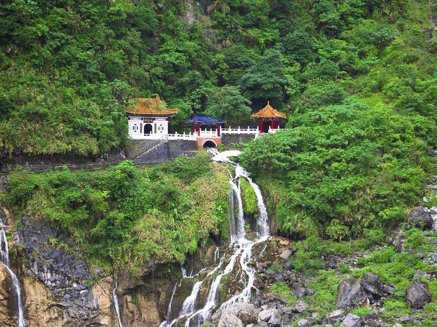 海东2020gdp_海东大树(2)