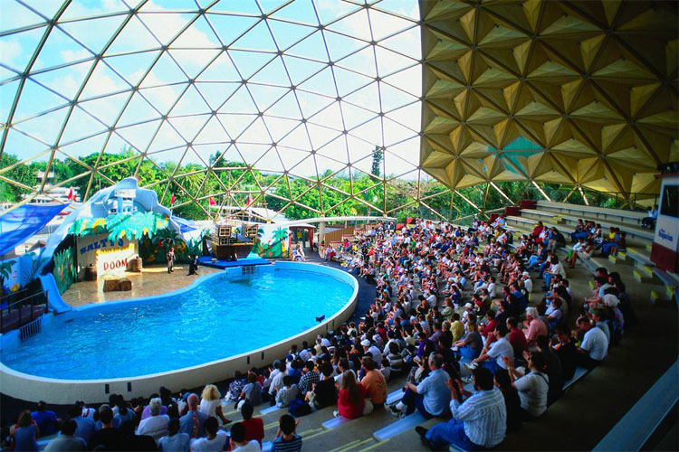 迈阿密水族馆一日游(海豚体验)
