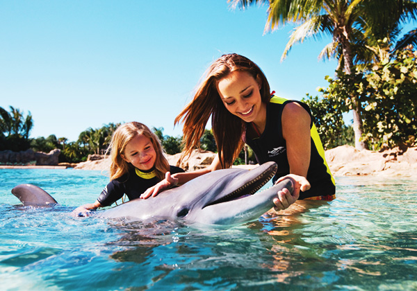 美国奥兰多海洋世界(orlando seaworld)门票(电子票)