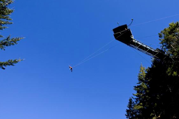 皇后镇内维斯峡谷高空秋千