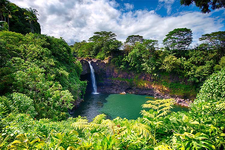 夏威夷大岛环岛一日游(科纳出发)