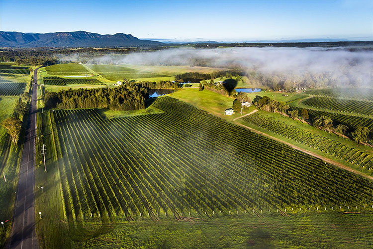 悉尼猎人谷包车一日游