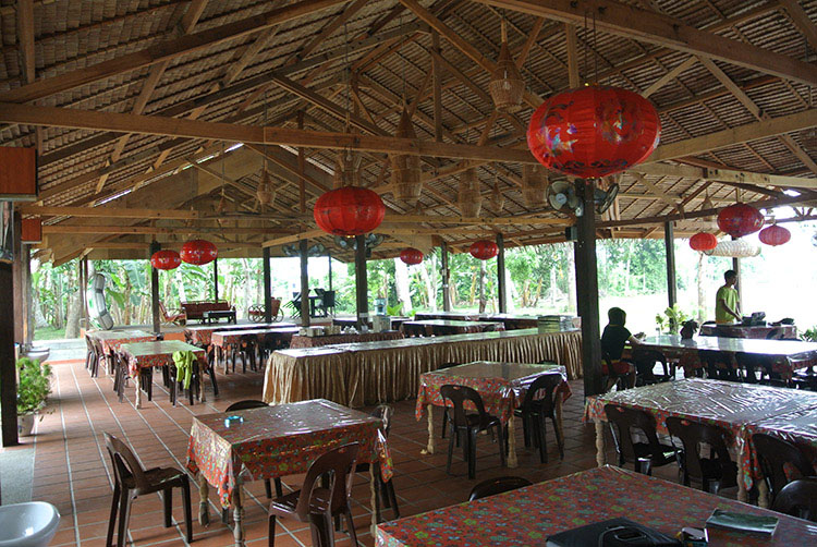 沙巴kawa红树林一日游(长鼻猴 观看萤火虫)