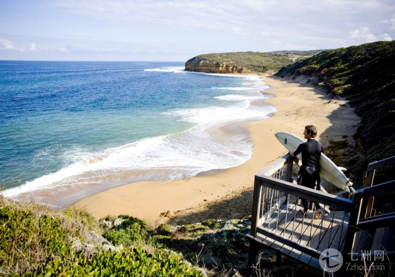 墨尔本大洋路经典英文一日游 (十二门徒 午餐 奥特威雨林漫步 wifi)
