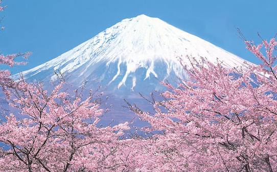 t6rdfj03104356.png
