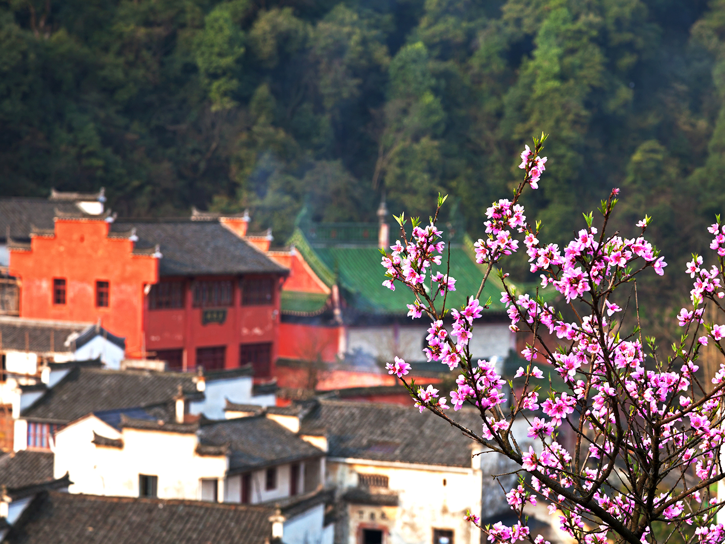 【乐园漂流】天柱山纯玩2日游【大美河山】