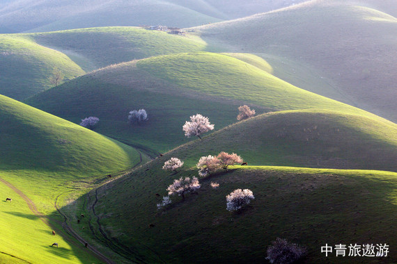 【购实惠】新疆/南疆大全景/喀什/库车/库尔勒/和田/沙雅 双飞13日游【纯玩0购物0自费/环游14大景区】