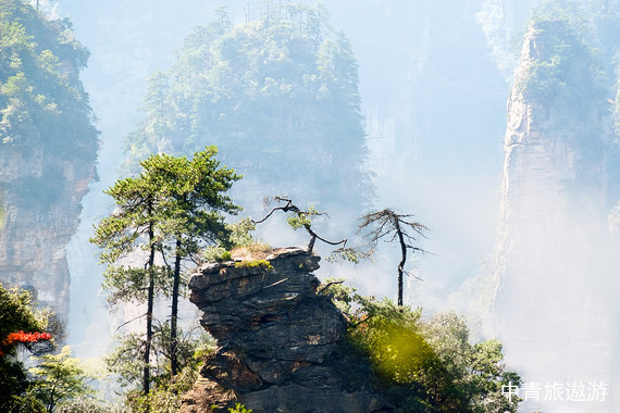 【当季爆款】（必发团）潇湘双飞5天 长沙/韶山/张家界/天门山魅力湘西/黄龙洞/芙蓉镇/凤凰古城【16人小团，当地五星+特色客栈】