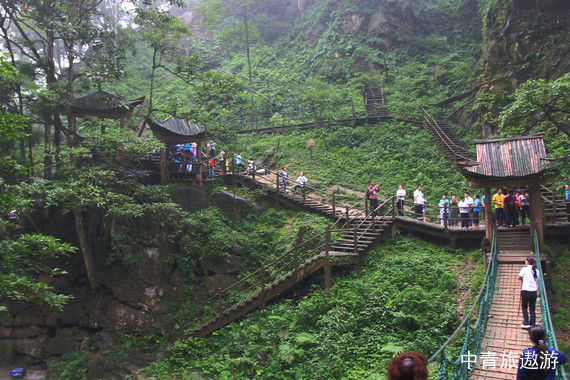 【四川当地游】峨眉山/乐山大佛2日游【二进峨眉山/船游乐山/纯玩】