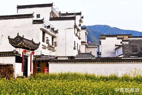 【购实惠】江西 婺源/江岭/江湾/三清山/景德镇 双动5日游