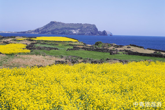 【亞洲】韓國濟州島4日【牛島|城山日出峰|涉地可支】