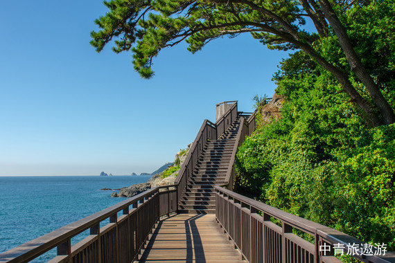 【韩国】济州一地双飞4晚5日半自助游【牛岛漫游/城山日出峰/药泉寺/泰迪熊博物馆/涉地可支】