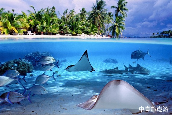 【大溪地郵輪】龐洛郵輪保羅高更號波拉波拉島+胡阿希內島+塔哈島+茉莉雅島+帕皮提島9晚11天