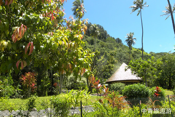 【南太平洋邮轮】南太平洋高端海岛游19天【奥克兰|大溪地|库克群岛|美属萨摩亚|萨摩亚|斐济】