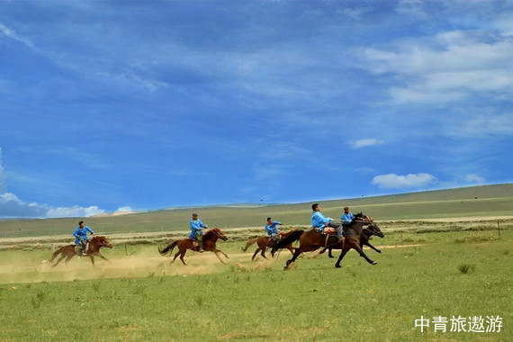 【周边跟团游】鲜花草原♡辉腾锡勒草原2日游♡入住草原蒙古包【呼市出发】