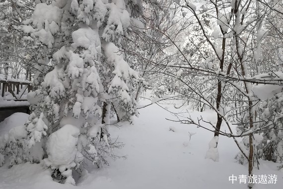 【东北】吉林+哈尔滨+雪乡+长春双高6日【万科滑雪+雪山缆车+亚布力滑雪+东升雪谷+威虎寨+马拉爬犁+雪地摩托+冰雪画廊+冰雪大世界畅玩】