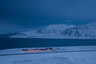 【海洋信天翁号】探索北极三岛-斯瓦尔巴群岛+格陵兰岛+冰岛14日伟大航路之旅