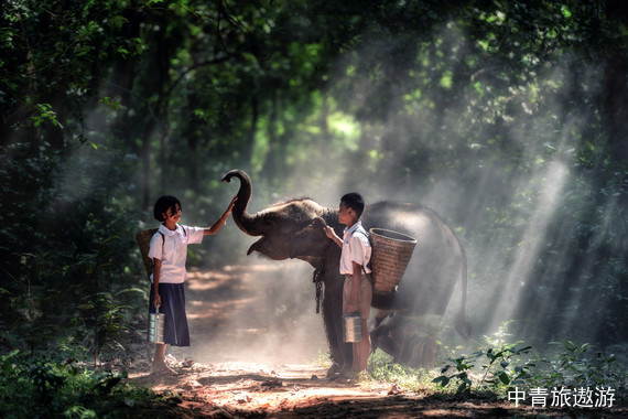 【云南】耀版纳•双飞/当地5日【版纳+野象谷+原始森林公园+水底世界+花卉园（水果采摘）+般若寺+玛尼堆+曼听公园+勐泐大佛寺】真纯玩0擦边