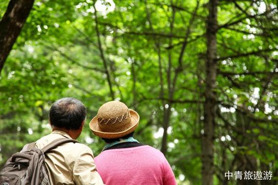 【東北】伊春雙飛6日【九峰山養心谷|金山鹿苑|湯旺河石林|五營森林公園】