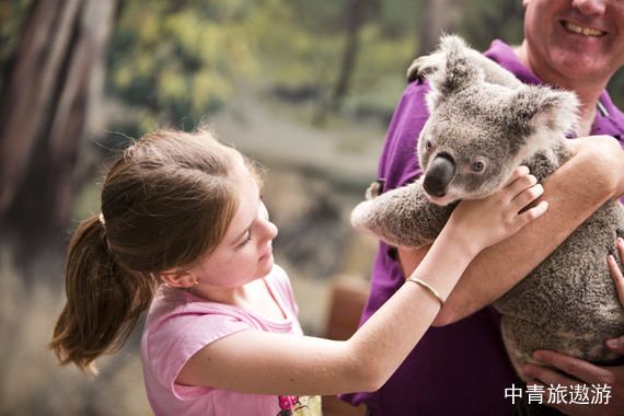 【澳水乐享·畅游昆士兰】澳大利亚7日游【凯恩斯/布里斯班/黄金海岸】