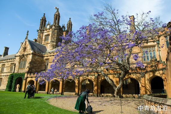 【澳洲】澳大利亚+凯恩斯10日【企鹅岛|绿岛大堡礁|热带雨林水陆两用车|库兰达考拉园|考拉照片|悉尼歌剧院|蓝山国家公园|海港大桥漫步】