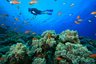 【海底世界】台湾台东绿岛考进阶潜水执照（2人成行）3晚4日游