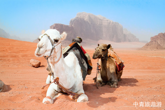 【西北】梦想甘青•畅销五湖版8日【青海湖+茶卡+翡翠湖+水上雅丹+东台吉乃尔湖+莫高窟含A票+鸣沙山+嘉峪关+无界+张掖丹霞+祁连+门源】