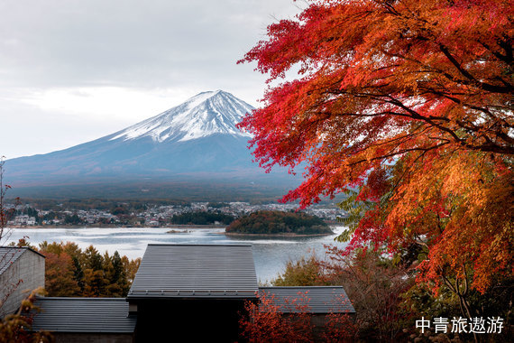 【亞洲】日本本州雙飛6晚7日【淺草寺|本棲湖或河口湖|大阪自由活動|東京自由活動|淺草寺|秋葉原電器街】 