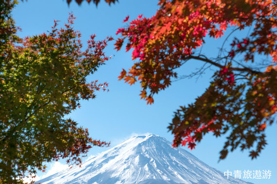 日本本州7日双自由假期之旅（日本大阪、京都、奈良、箱根（富士山周边地区）、东京）7日游