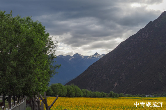 【西藏】耀?仰望南迦巴瓦 雙臥11日【拉薩+布宮+大昭寺廣場+八廓街+林芝巴松措+大峽谷+雅尼濕地+魯朗小鎮+羊湖】0自費0強消