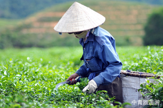 【福建】厦门鼓浪屿双飞6日游【厦门南普陀、厦门大学（入内）、鼓浪屿、植物园、帆船出海、环岛路、赶海、曾厝垵】