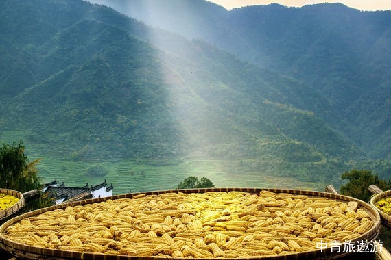 【婺源深度疗养】婺源双岭赏花全景深度+中国瓷都景德镇双卧七日