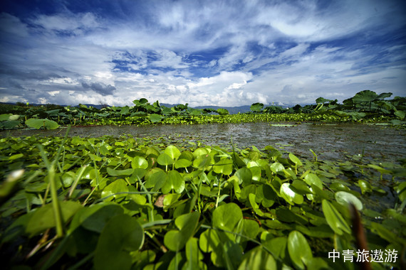【云南】西双版纳双飞5日游【中科院植物园+曼听+基诺山寨+野象谷+原始森林】
