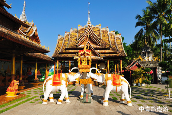 “象”往版纳4晚5天游【星光夜市旅拍+曼掌村+野象谷+南糯山+曼听御花园+傣族园+泼水狂欢+孔雀放飞】