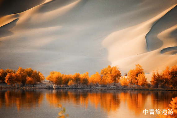 【内蒙】VIP甄选•12人团•额济纳 双高双卧5日【额旗博物馆+黑城弱水胡杨+居延海+宝日敖包+额济纳胡杨林+漠中胡杨林】0购物